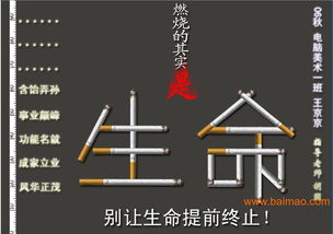 瀏陽市平面設計與軟件開發(fā) 融合創(chuàng)意與科技，打造品牌新動力